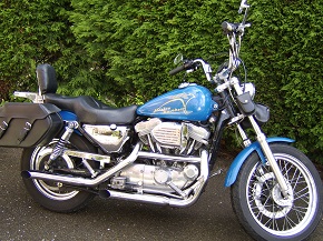 290 size sportster